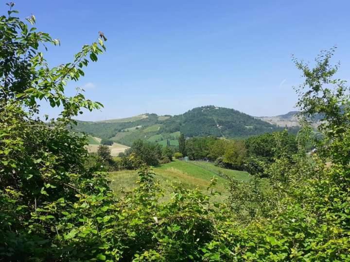 Ai Boschi Apartment Ozzano dell'Emilia Exterior foto